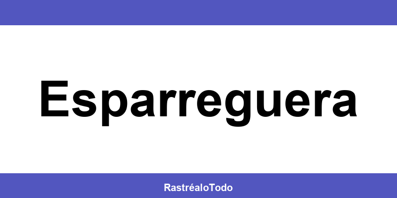 Teléfono oficina SEUR en Esparreguera