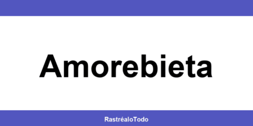 Teléfono oficina SEUR en Amorebieta