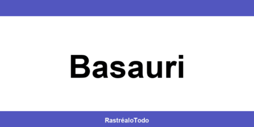 Teléfono oficina SEUR en Basauri