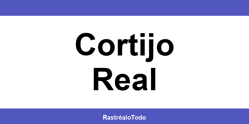 Teléfono oficina SEUR en Cortijo Real