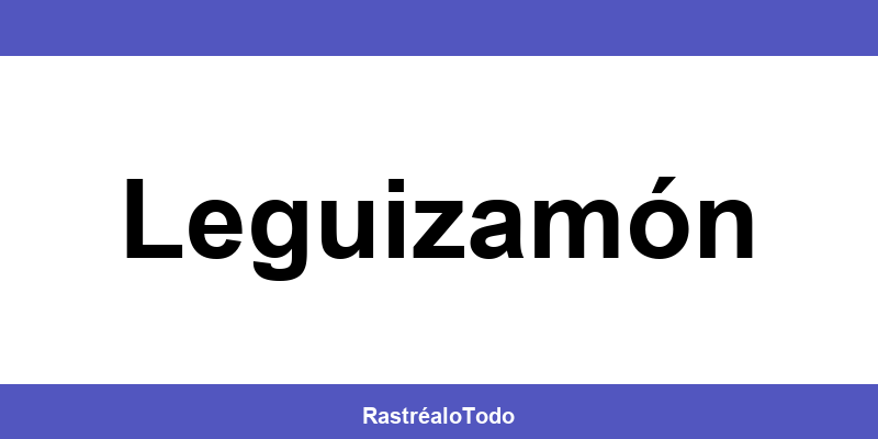 Teléfono oficina SEUR en Leguizamón