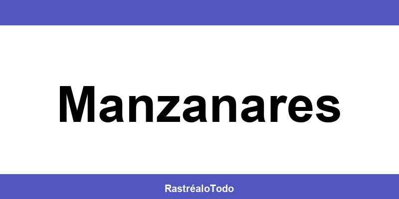 Teléfono oficina SEUR en Manzanares