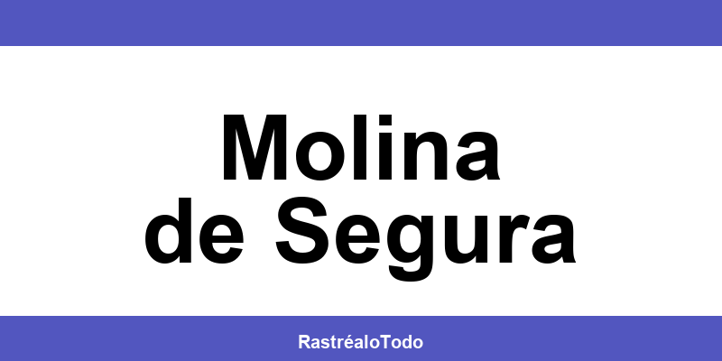 Teléfono oficina SEUR en Molina de Segura