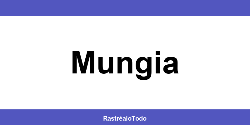 Teléfono oficina SEUR en Mungia