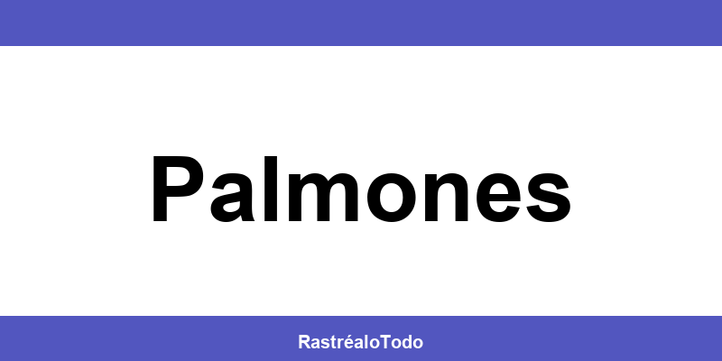 Teléfono oficina SEUR en Palmones