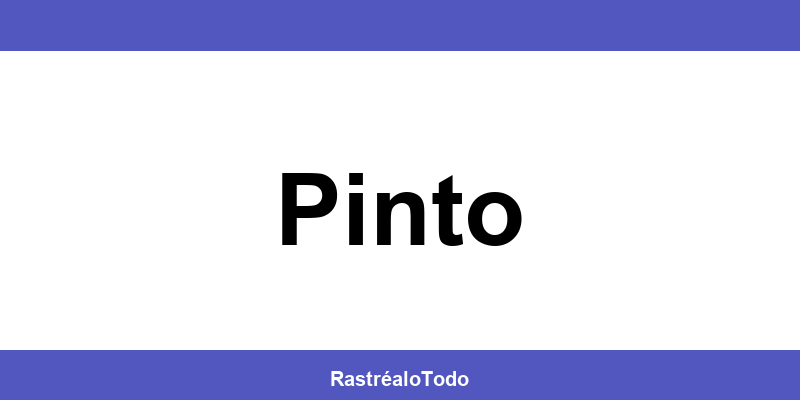 Teléfono oficina SEUR en Pinto