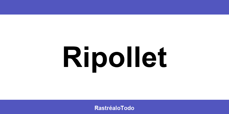 Teléfono oficina SEUR en Ripollet