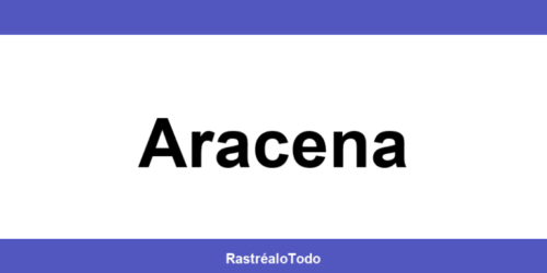 Teléfono oficina SEUR en Aracena