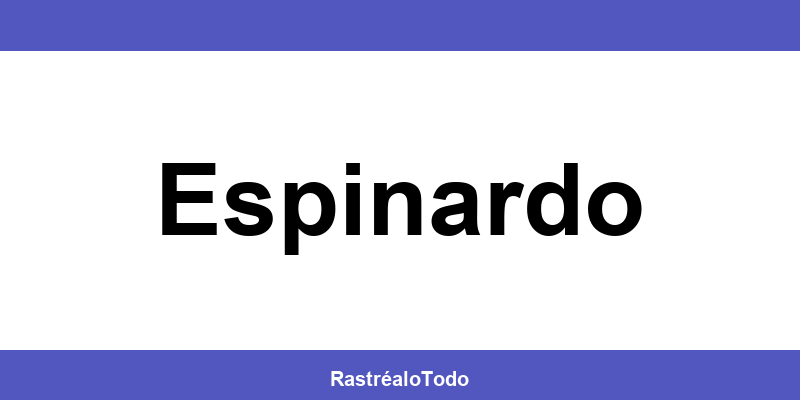 Teléfono oficina SEUR en Espinardo