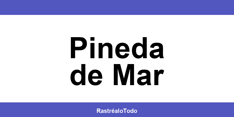 Teléfono oficina SEUR en Pineda de Mar