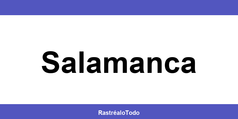 Teléfono oficina SEUR en Salamanca
